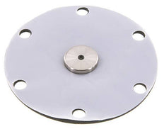 Vervangingsmembraan PTFE/NBR 1''.