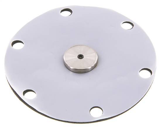Vervangingsmembraan PTFE/NBR 1''.