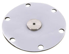 Vervangingsmembraan PTFE/NBR 1''.