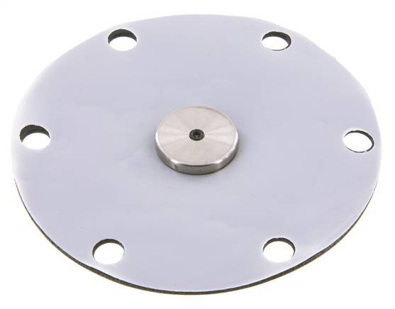 Vervangingsmembraan PTFE/NBR 1''.