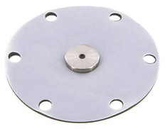 Vervangingsmembraan PTFE/NBR 1''.