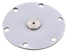 Vervangingsmembraan PTFE/NBR 1''.