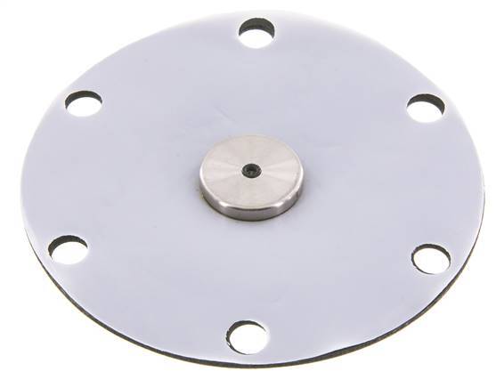 Vervangingsmembraan PTFE/NBR 1''.