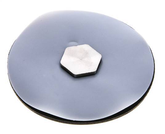 Vervangingsmembraan PTFE/NBR 1/2''.