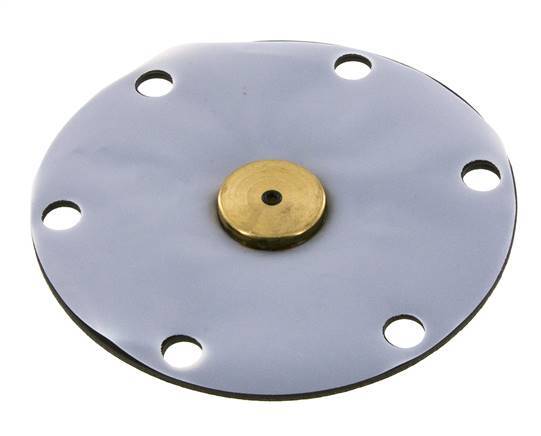 Vervangingsmembraan PTFE/NBR 1''.