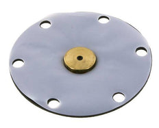 Vervangingsmembraan PTFE/NBR 1''.