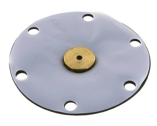 Vervangingsmembraan PTFE/NBR 1''.