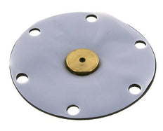 Vervangingsmembraan PTFE/NBR 1''.