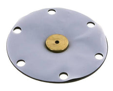Vervangingsmembraan PTFE/NBR 1''.