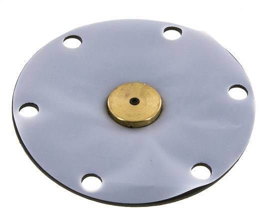 Vervangingsmembraan PTFE/NBR 1''.