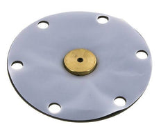 Vervangingsmembraan PTFE/NBR 1''.