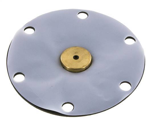 Vervangingsmembraan PTFE/NBR 1''.
