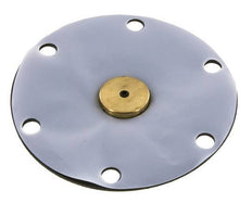 Vervangingsmembraan PTFE/NBR 1''.