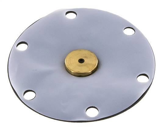 Vervangingsmembraan PTFE/NBR 1''.