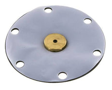 Vervangingsmembraan PTFE/NBR 1''.