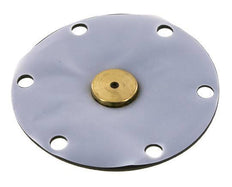 Vervangingsmembraan PTFE/NBR 1''.