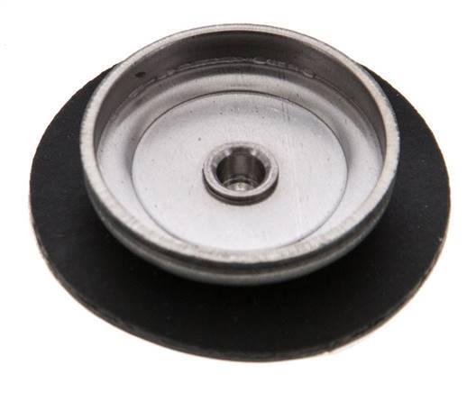 Vervangingsmembraan PTFE/NBR 1/4''.