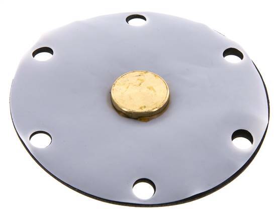 Vervangingsmembraan PTFE/NBR 1''.