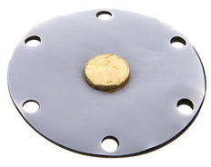 Vervangingsmembraan PTFE/NBR 1''.