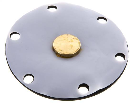 Vervangingsmembraan PTFE/NBR 1''.