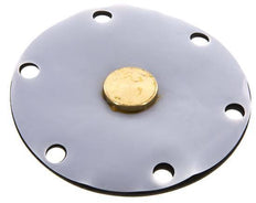 Vervangingsmembraan PTFE/NBR 1''.