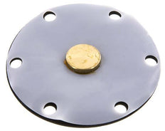 Vervangingsmembraan PTFE/NBR 1''.