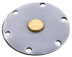 Vervangingsmembraan PTFE/NBR 1''.