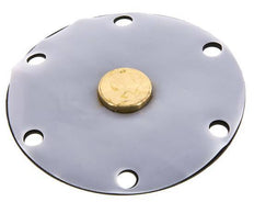 Vervangingsmembraan PTFE/NBR 1''.
