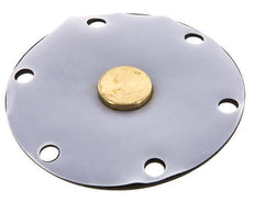 Vervangingsmembraan PTFE/NBR 1''.