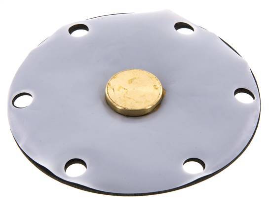 Vervangingsmembraan PTFE/NBR 1''.