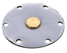 Vervangingsmembraan PTFE/NBR 1''.