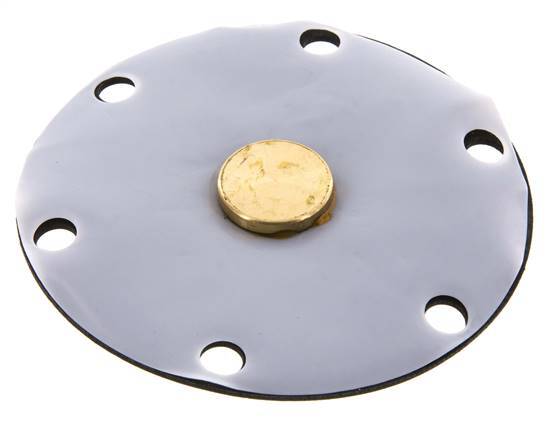 Vervangingsmembraan PTFE/NBR 1''.