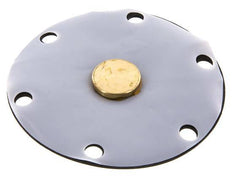 Vervangingsmembraan PTFE/NBR 1''.