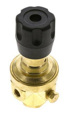 Pressure Regulator G1/4'' 490 l/min 0.2-3.0bar/3-44psi Brass CO2