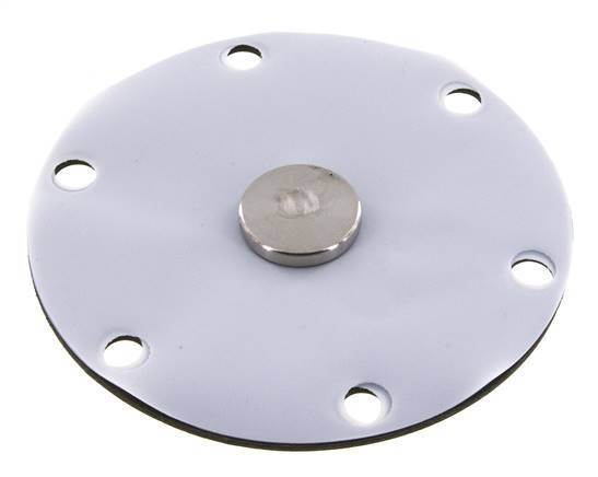 Vervangingsmembraan PTFE/NBR 1''.