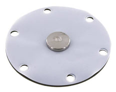 Vervangingsmembraan PTFE/NBR 1''.