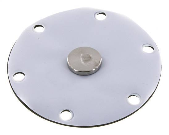 Vervangingsmembraan PTFE/NBR 1''.