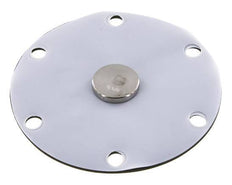 Vervangingsmembraan PTFE/NBR 1''.