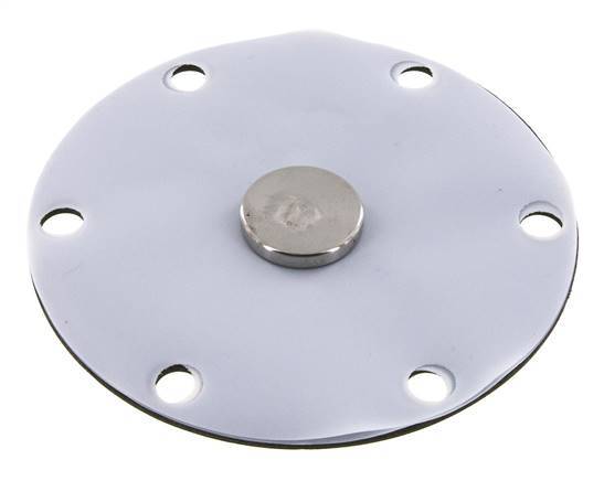 Vervangingsmembraan PTFE/NBR 1''.