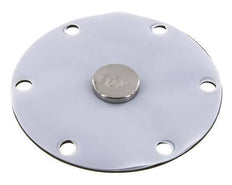 Vervangingsmembraan PTFE/NBR 1''.