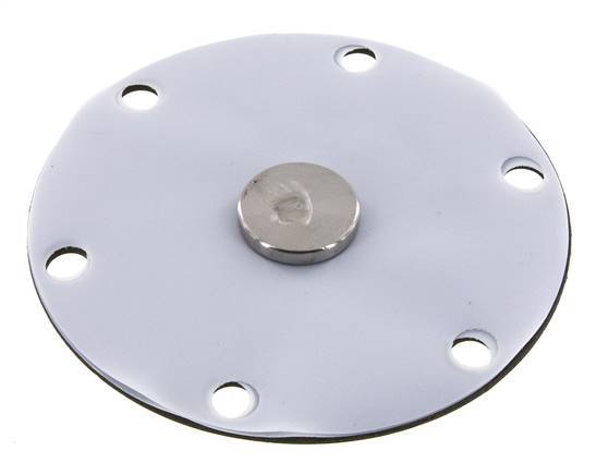 Vervangingsmembraan PTFE/NBR 1''.