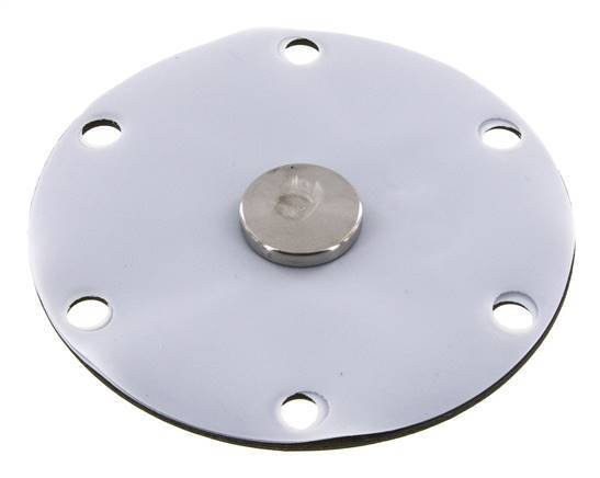 Vervangingsmembraan PTFE/NBR 1''.