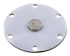 Vervangingsmembraan PTFE/NBR 1''.