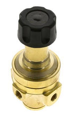 Pressure Regulator G1/4'' 490 l/min 3.0-50.0bar/44-725psi Brass