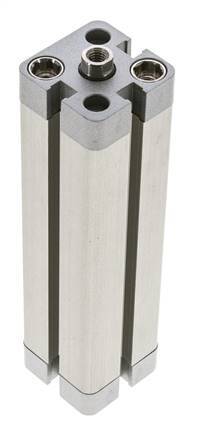ISO 21287 Compacte Dubbelwerkende Cilinder 20-100mm - Magnetisch