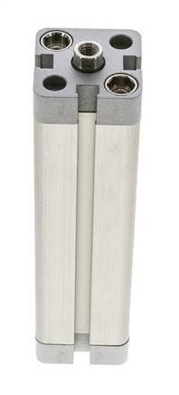 ISO 21287 Compacte Dubbelwerkende Cilinder 20-100mm - Magnetisch