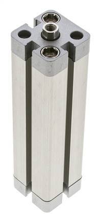ISO 21287 Compacte Dubbelwerkende Cilinder 20-100mm - Magnetisch