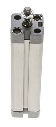 ISO 21287 Compacte Dubbelwerkende Cilinder 20-100mm - Magnetisch - Mannelijke Stang