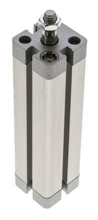 ISO 21287 Compacte Dubbelwerkende Cilinder 20-100mm - Magnetisch - Mannelijke Stang