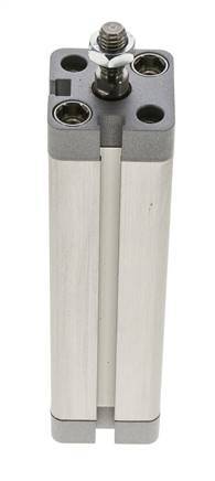 ISO 21287 Compacte Dubbelwerkende Cilinder 20-100mm - Magnetisch - Mannelijke Stang